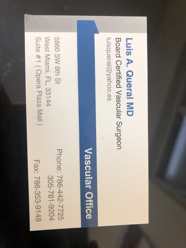 Luis A. Queral MD / VAS-Q-LAR, INC.