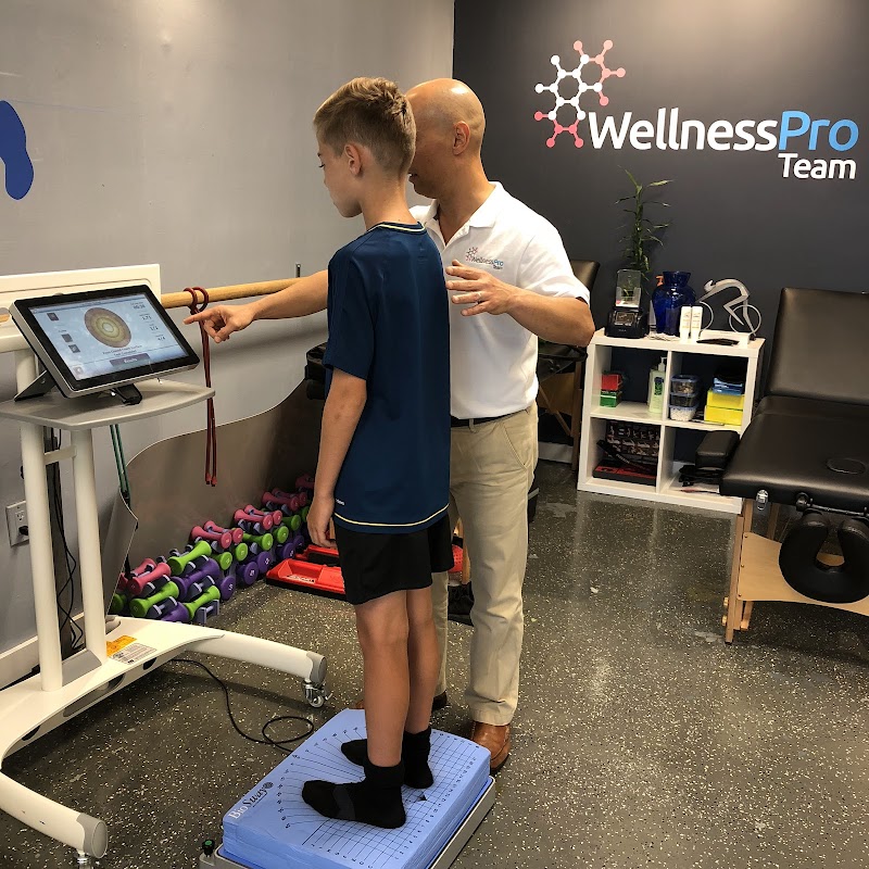 Wellness Pro Team