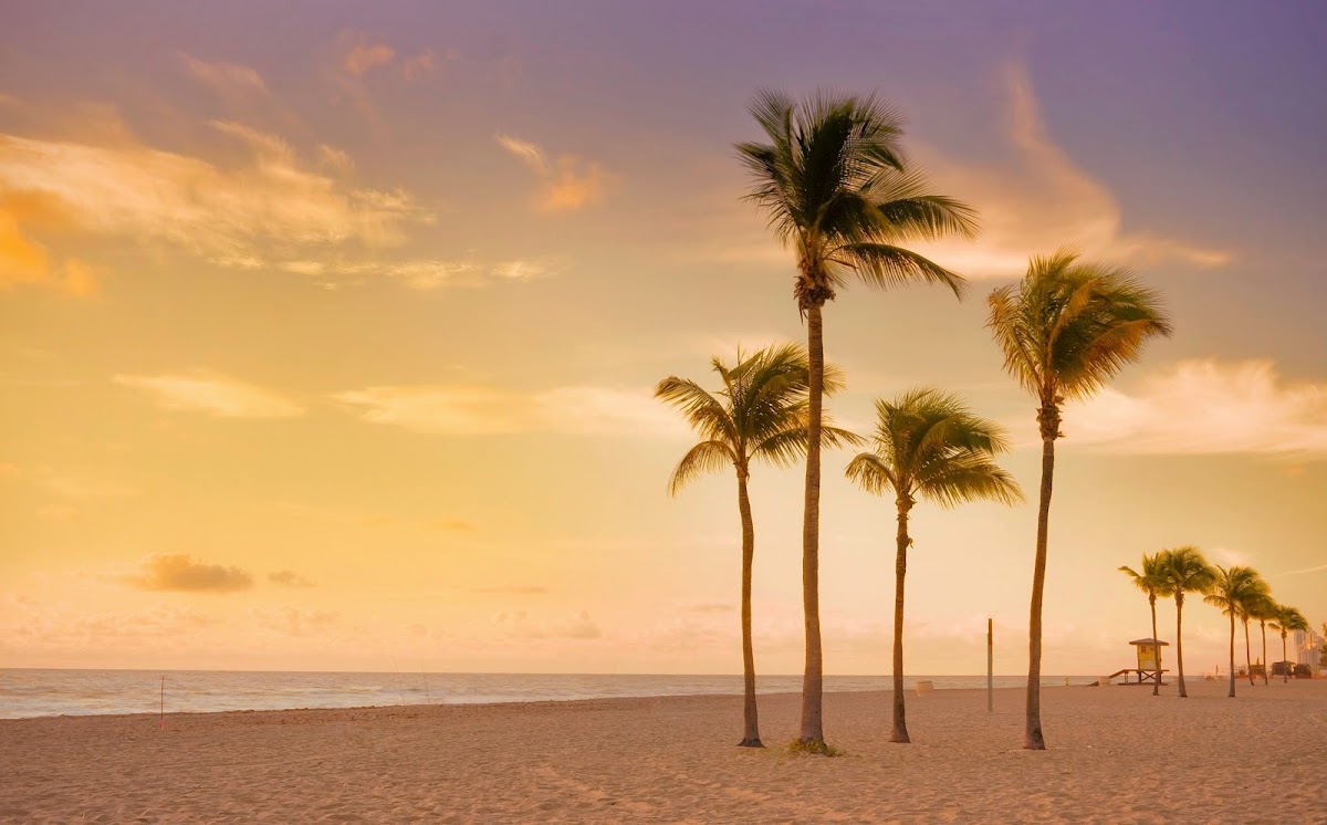 Miami Aesthetic - Pat Pazmiño, MD, FACS