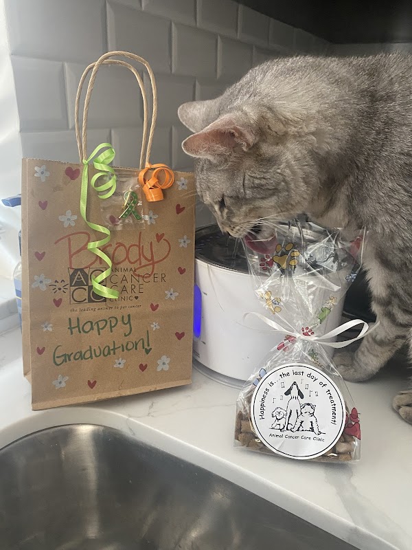 Animal Cancer Care Clinic