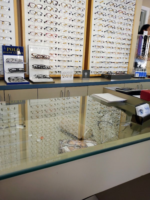 Versailles De Toro Optical
