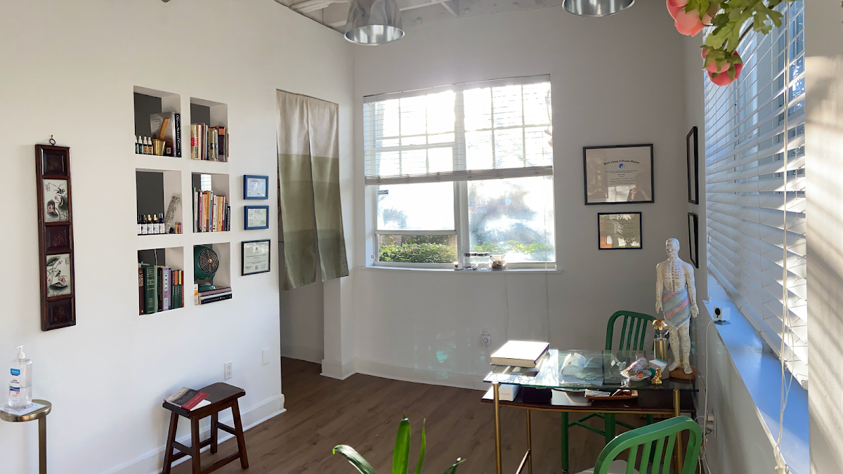Miami Beach Acupuncture, Dr. Anna Piva, AP, DACM, LAc.
