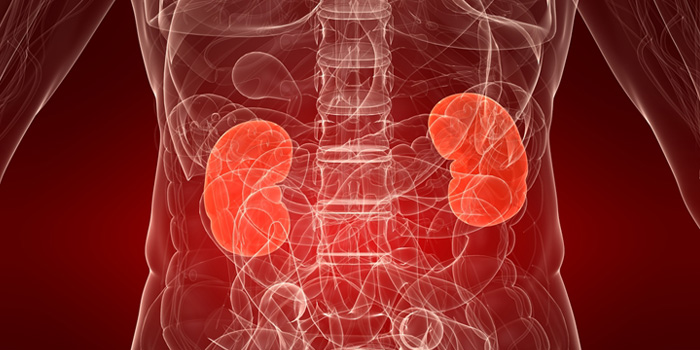 Pediatric Kidney Center of South Florida - Dr. Fanny Gonzalez