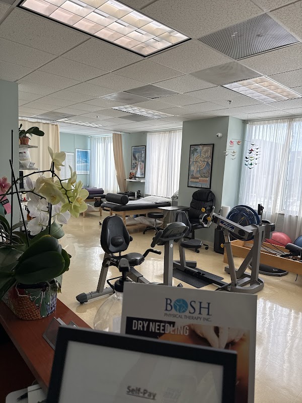 BOSH Physical Therapy, Inc.